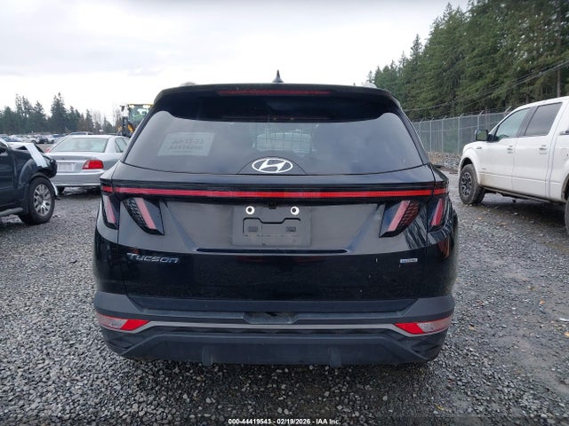 Hyundai TUCSON SEL 2023 5NMJBCAE7PH263591 Image 17