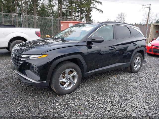 Hyundai TUCSON SEL 2023 5NMJBCAE7PH263591 Image 2