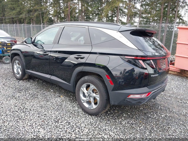 Hyundai TUCSON SEL 2023 5NMJBCAE7PH263591 Image 3
