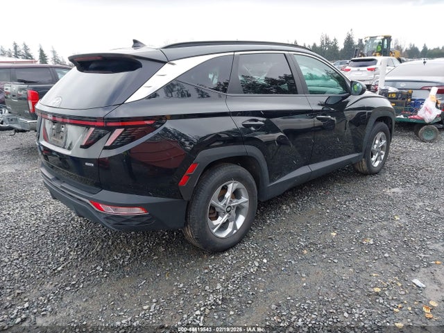 Hyundai TUCSON SEL 2023 5NMJBCAE7PH263591 Image 4