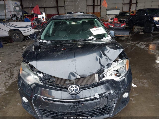 5YFBURHE4GP530599 Toyota Corolla S Plus