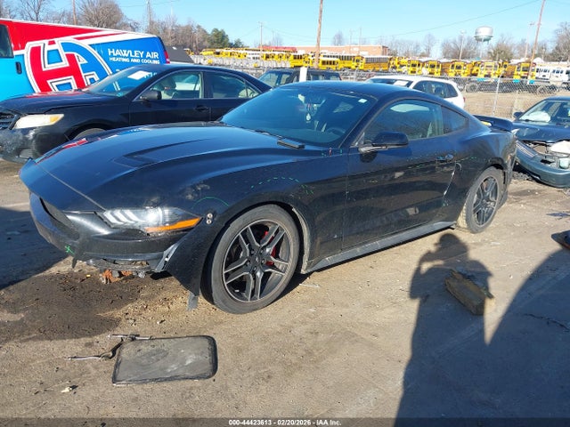 2020 FORD MUSTANG 1FA6P8TH4L5162586 Photo 1