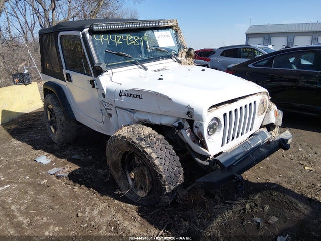 2001 JEEP WRANGLER 1J4FA29P21P374177