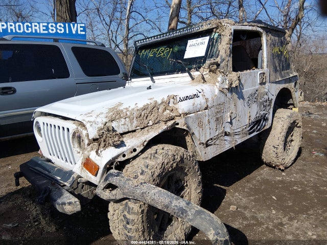 2001 JEEP WRANGLER 1J4FA29P21P374177 Photo 5