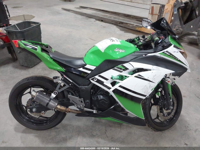 Kawasaki Ex300 B 2015 JKAEX8B16FDA21360 Image 12