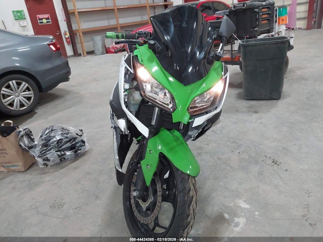 Kawasaki Ex300 B 2015 JKAEX8B16FDA21360 Image 5