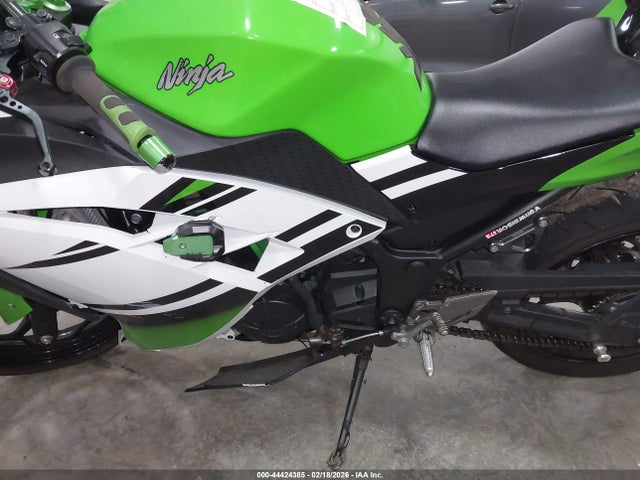 Kawasaki Ex300 B 2015 JKAEX8B16FDA21360 Image 9