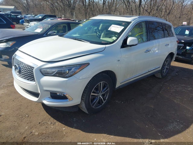 Продажа на аукционе авто 2019 Infiniti Qx60 Luxe, vin: 5N1DL0MM6KC527432, номер лота: 44425177
