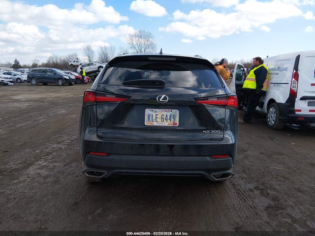 JTJDARDZ3L5010585 Lexus NX 300