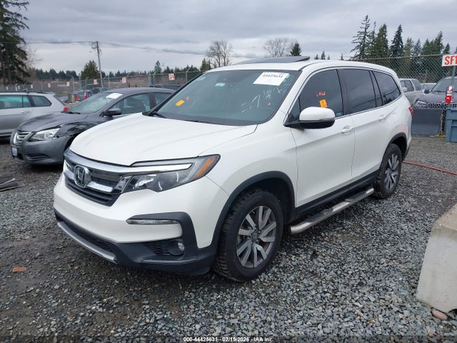5FNYF6H59KB072744 Honda Pilot Ex-l