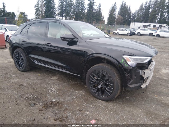 2024 AUDI Q8 E-TRON WA16AAGE4RB052497 Photo 0