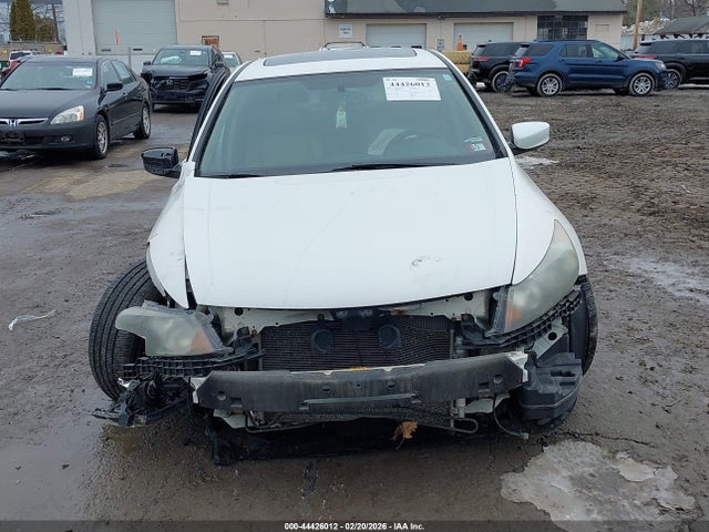 44426012 :رقم المزاد ، 1HGCP3F88BA003525 vin ، 2011 Honda Accord 3.5 Ex-l مزاد بيع