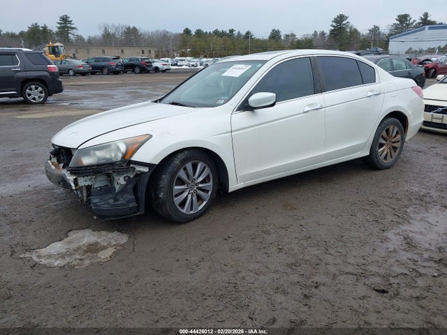 44426012 :رقم المزاد ، 1HGCP3F88BA003525 vin ، 2011 Honda Accord 3.5 Ex-l مزاد بيع