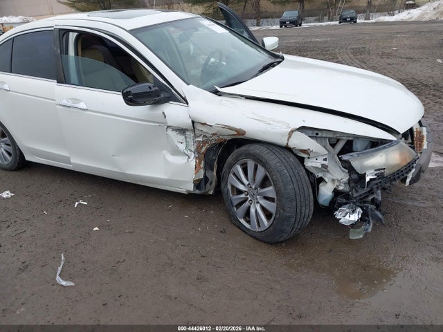 44426012 :رقم المزاد ، 1HGCP3F88BA003525 vin ، 2011 Honda Accord 3.5 Ex-l مزاد بيع