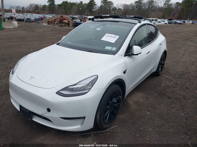 2023 TESLA MODEL Y 7SAYGAEE1PF608634 Photo 1