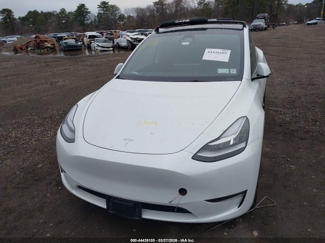 2023 TESLA MODEL Y 7SAYGAEE1PF608634 Photo 5