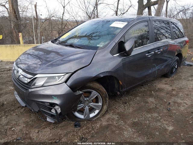 2019 HONDA ODYSSEY 5FNRL6H75KB021935 Photo 1