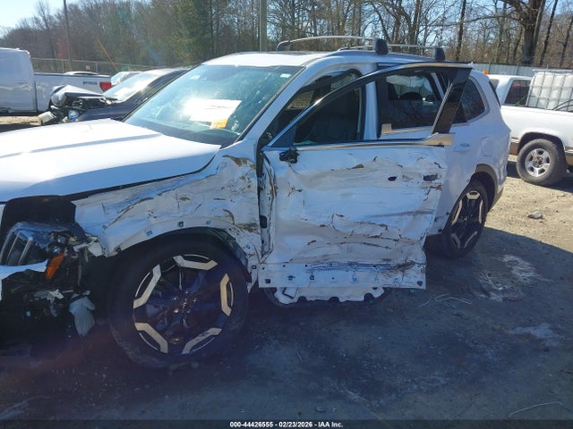 2025 Kia Telluride Ex მანქანა იყიდება აუქციონზე, vin: 5XYP34GCXSG573109, აუქციონის ნომერი: 44426555