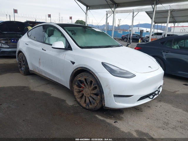 2022 TESLA MODEL Y 7SAYGDEF5NF410534 Photo 0