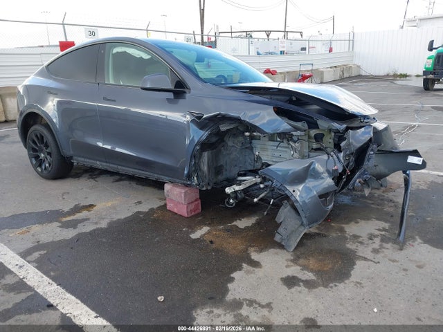 2020 TESLA MODEL Y 5YJYGDEE3LF041559 Photo 0