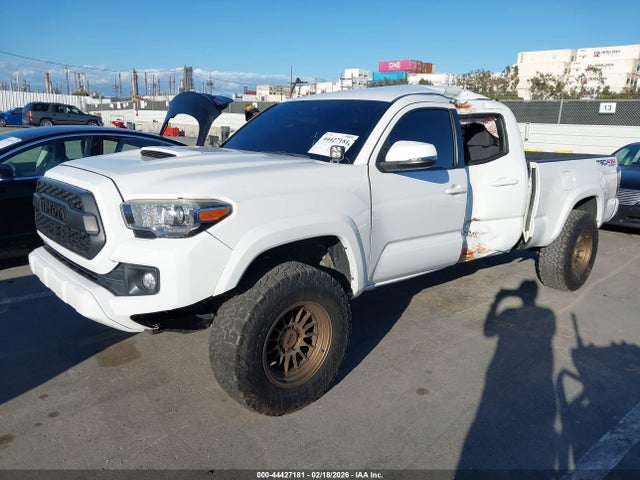 3TMDZ5BNXKM058260 Toyota Tacoma Trd Sport