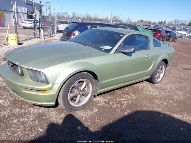 2006 FORD MUSTANG 1ZVHT82H365106429 Photo 1