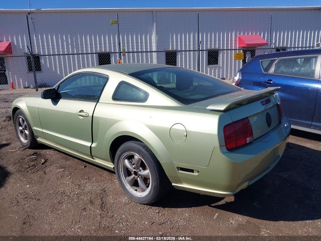 2006 FORD MUSTANG 1ZVHT82H365106429 Photo 2