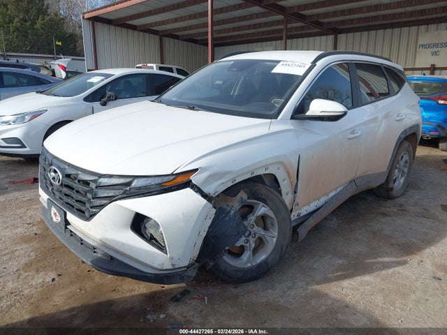 Продаж на аукціоні авто 2023 Hyundai Tucson Sel, vin: 5NMJBCAE2PH175399, номер лоту: 44427265