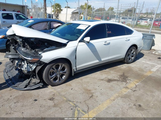1HGCY1F3XRA044559 Honda ACCORD EX