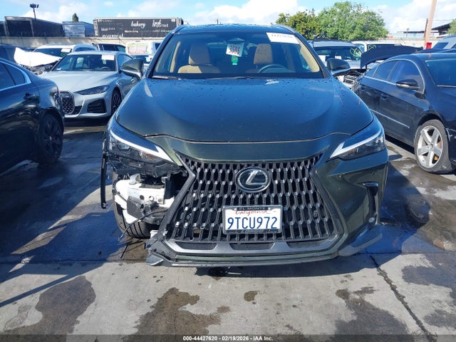 44427620 :رقم المزاد ، 2T2ADCAZ4SC026046 vin ، 2025 Lexus Nx 250 مزاد بيع