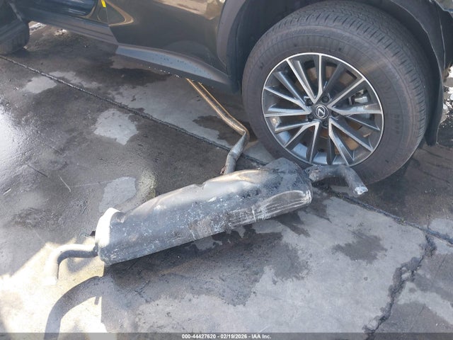 44427620 :رقم المزاد ، 2T2ADCAZ4SC026046 vin ، 2025 Lexus Nx 250 مزاد بيع