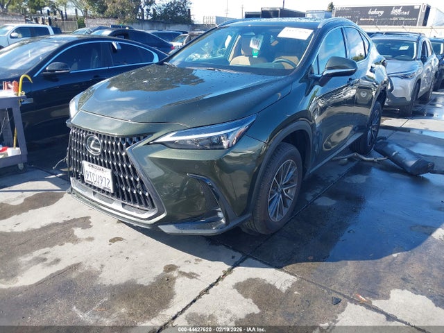 2025 LEXUS NX 250 2T2ADCAZ4SC026046 Photo 1