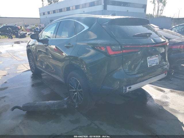 2025 LEXUS NX 250 2T2ADCAZ4SC026046 Photo 2