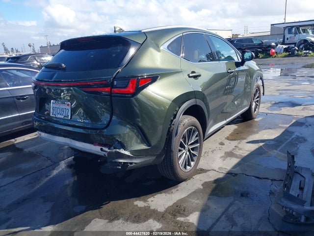 2025 LEXUS NX 250 2T2ADCAZ4SC026046 Photo 3
