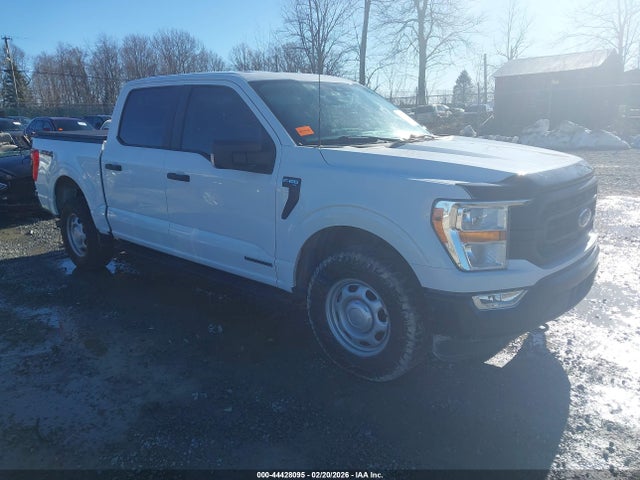 2021 FORD F-150 1FTFW1ED6MFD11378