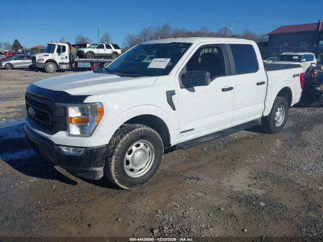 2021 FORD F-150 1FTFW1ED6MFD11378 Photo 1