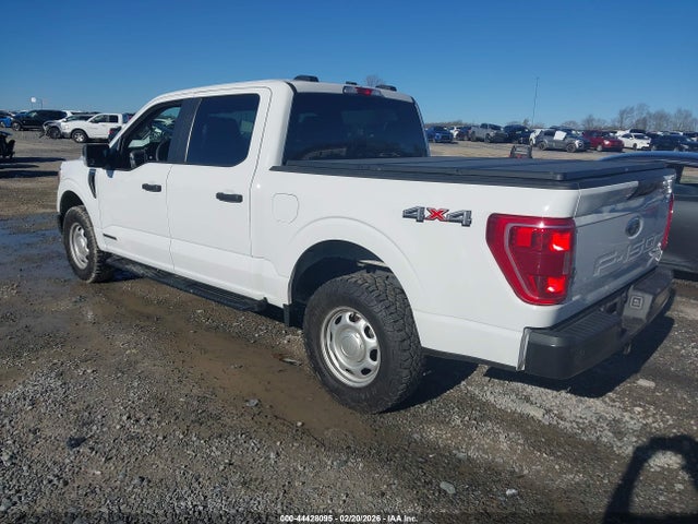2021 FORD F-150 1FTFW1ED6MFD11378 Photo 2