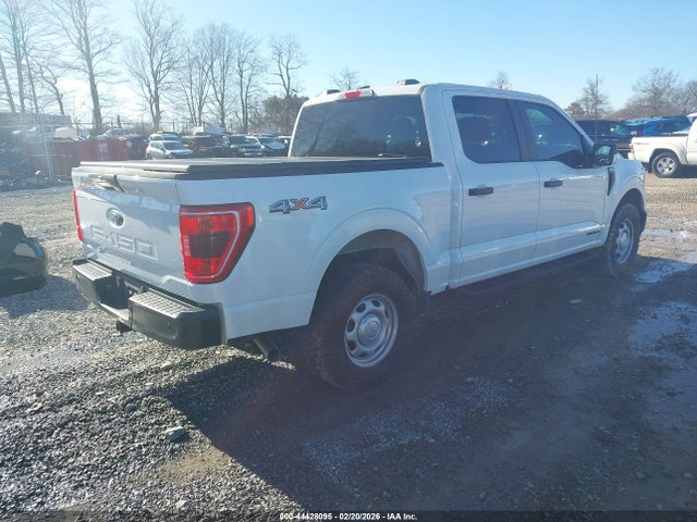 2021 FORD F-150 1FTFW1ED6MFD11378 Photo 3
