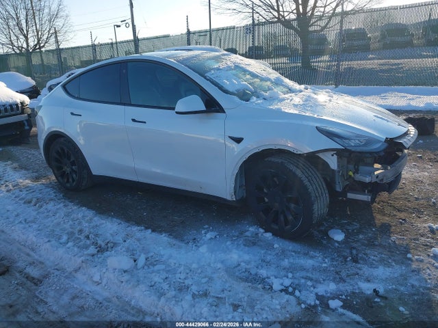 2021 TESLA MODEL Y 5YJYGAEE6MF180357 Photo 0