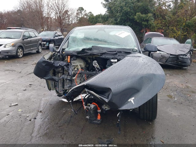 Продажа на аукционе авто 2025 Tesla Model Y Long Range Dual Motor Rear-wheel Drive, vin: 7SAYGDED6SA374635, номер лота: 44429520