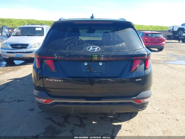Hyundai TUCSON SEL 2024 5NMJBCDE7RH421720 Image 16