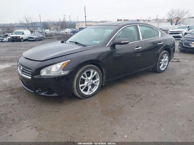 Nissan Maxima 3.5 Sv 2014 1N4AA5APXEC451362 Image 2
