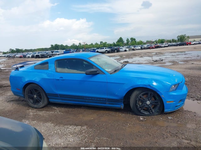 2013 Ford Mustang V6 მანქანა იყიდება აუქციონზე, vin: 1ZVBP8AM2D5261432, აუქციონის ნომერი: 44430764