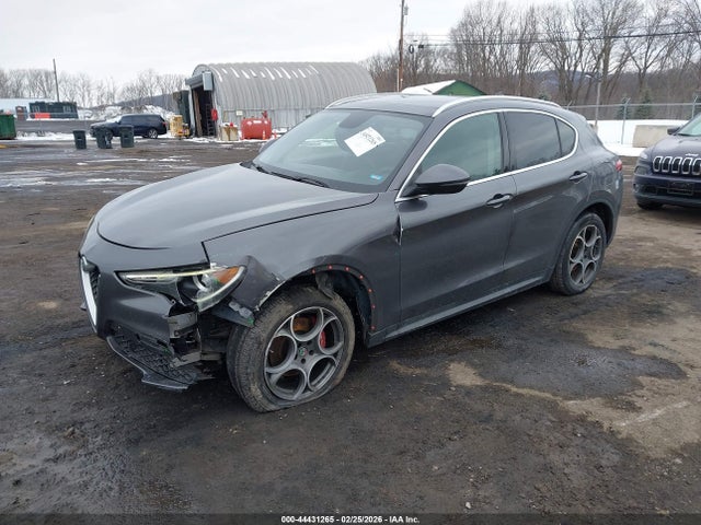 2019 ALFA ROMEO STELVIO ZASPAKAN3K7C32370 Photo 1