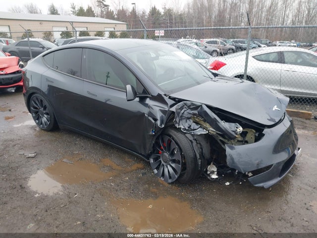 2024 TESLA MODEL Y 7SAYGDEF0RA307427