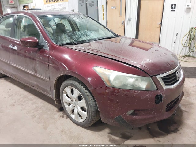 Продажа на аукционе авто 2009 Honda Accord 3.5 Ex-l, vin: 1HGCP36819A012626, номер лота: 44431960