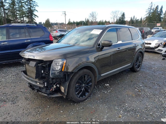KIA Telluride Sx 2021 5XYP5DHC8MG108582 Image 2