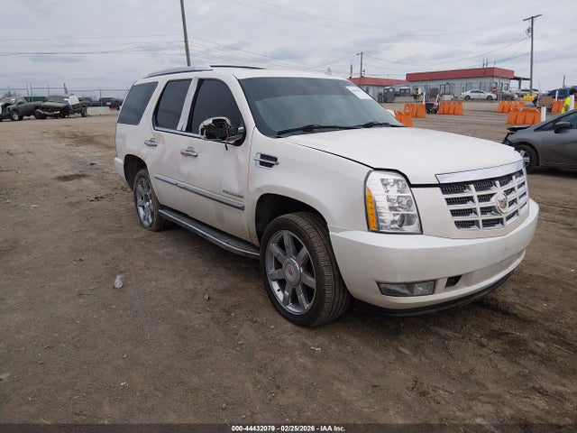 Auction sale of the 2013 Cadillac Escalade Luxury, vin: 1GYS3BEF8DR151334, lot number: 44432079