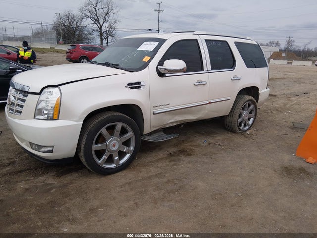 44432079 :رقم المزاد ، 1GYS3BEF8DR151334 vin ، 2013 Cadillac Escalade Luxury مزاد بيع