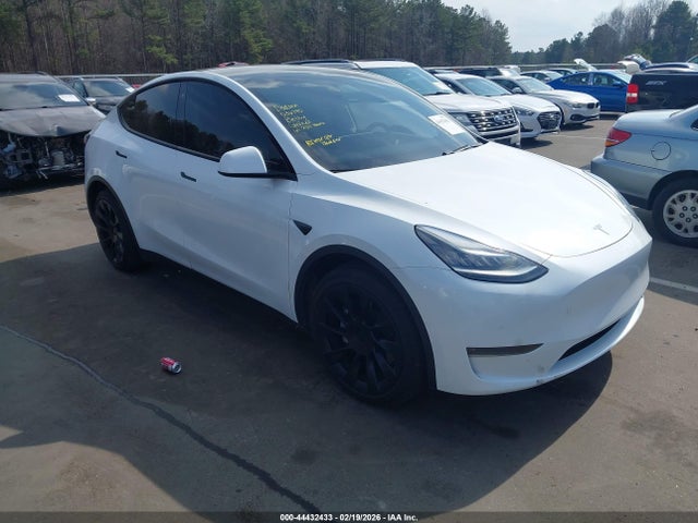 2020 TESLA MODEL Y 5YJYGDEE2LF036790 Photo 0